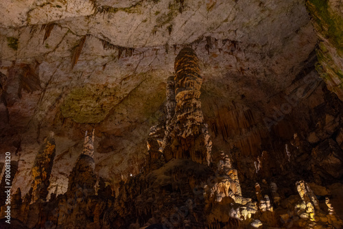 Geological formations at Postojna cave in Slovenia photo