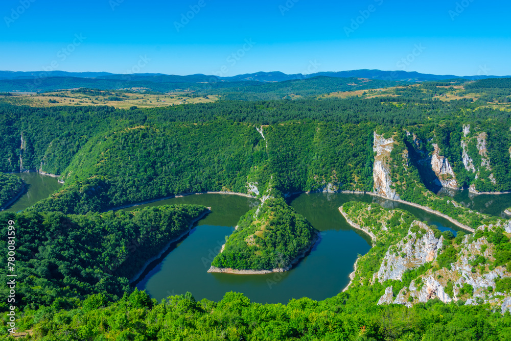 Fototapeta premium Meanders of river Uvac in Serbia during a sunny day