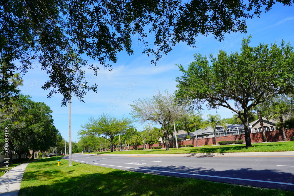 Obraz premium Spring tree and road in Florida 