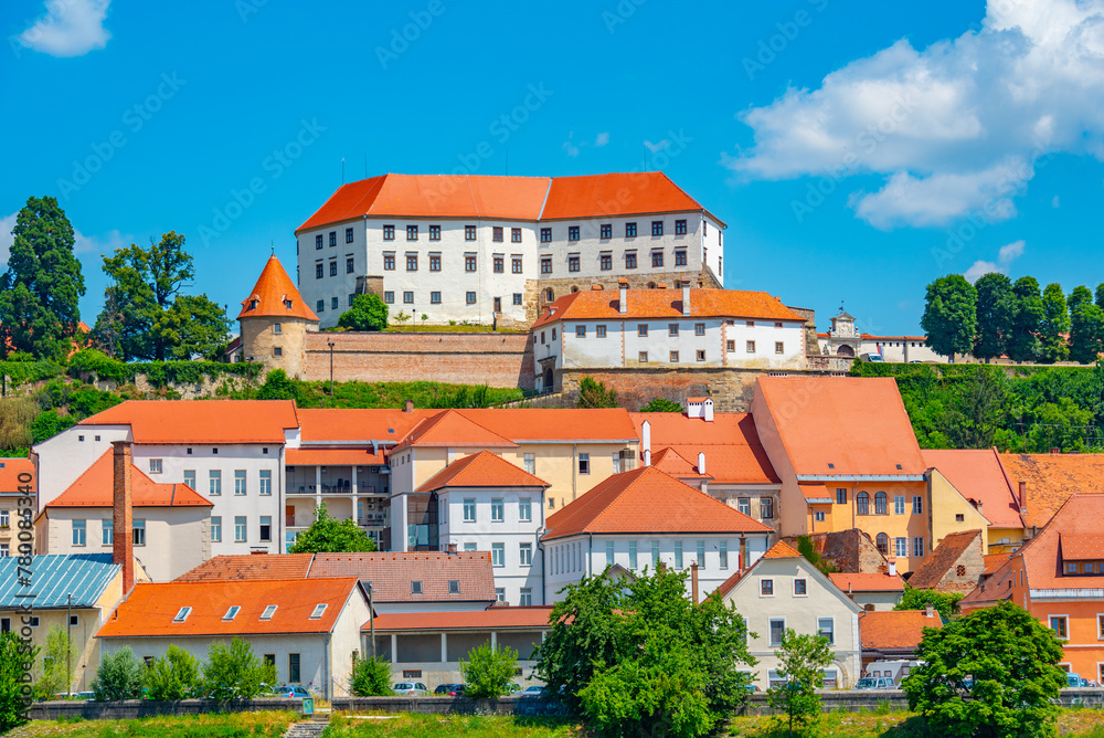 Obraz premium Ptuj castle overlooking town of the same name in Slovenia