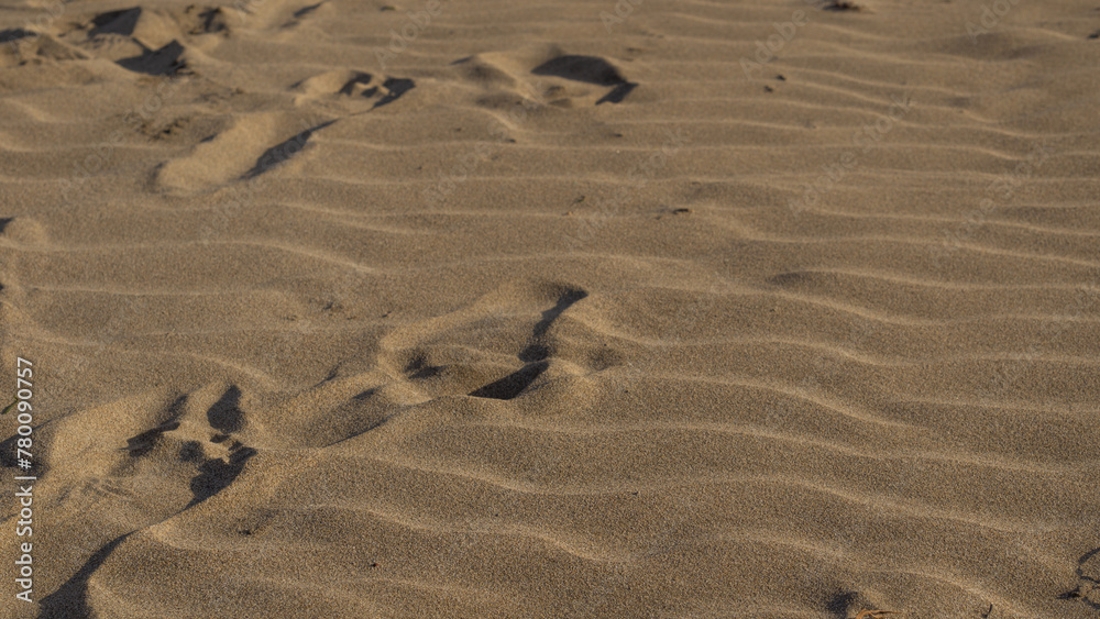 Golden Sands of Serene Beach Golden Sands of Serene Beach