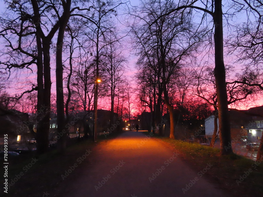 Fototapeta premium wonderful colorful sunset