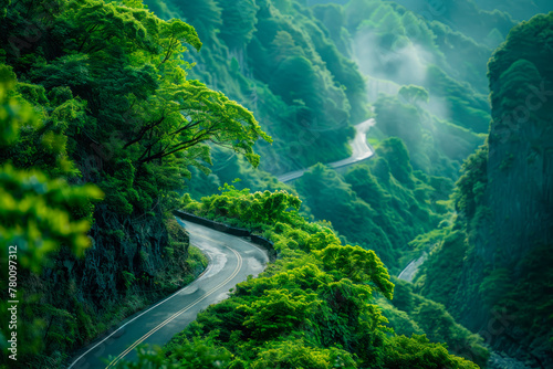 A road running along the slope of mountains covered with dense forest during the rainy season, fog. Natural background with copy space