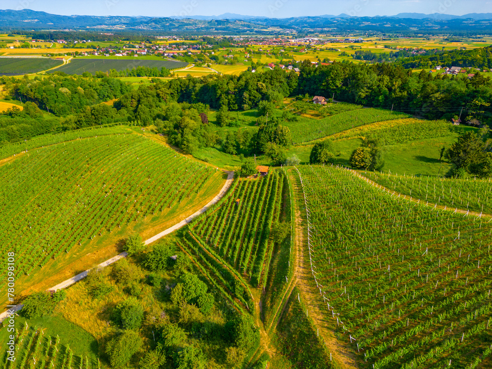 Aerial view of vineyards at Dolejnska region of Slovenia