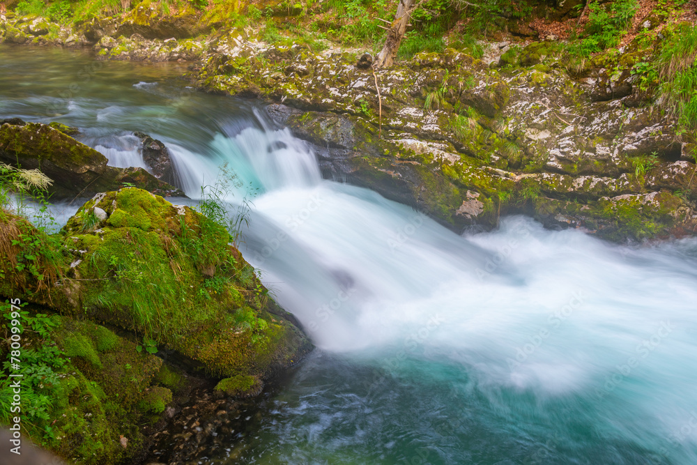 Obraz premium Vintgar gorge during a summer morning in Slovenia