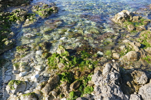 Colori del mare Adriatico in primavera. Bari  Italia
