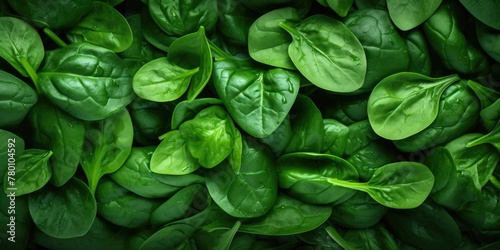 A close up of green leaves of spinach