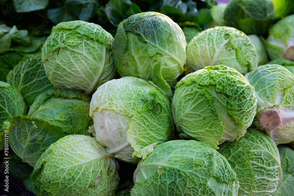 Fototapeta premium Image of fresh organic salad and cabbage in greengrocery shop