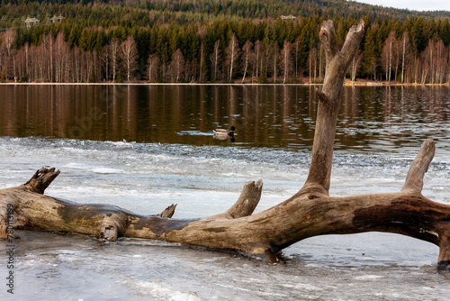 Lake Sognsvann, Oslo, Norway photo