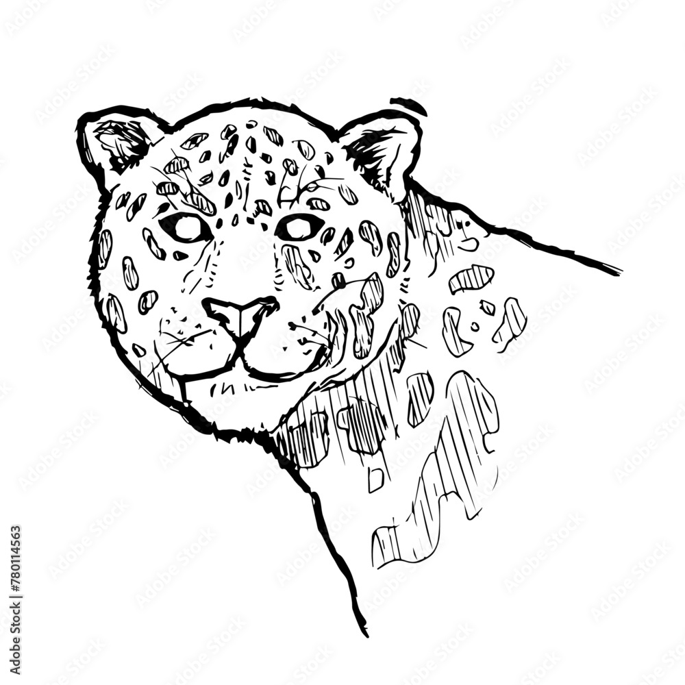 Onça-pintada, pantanal, animal silvestre, guepardo, tigre, jaguar