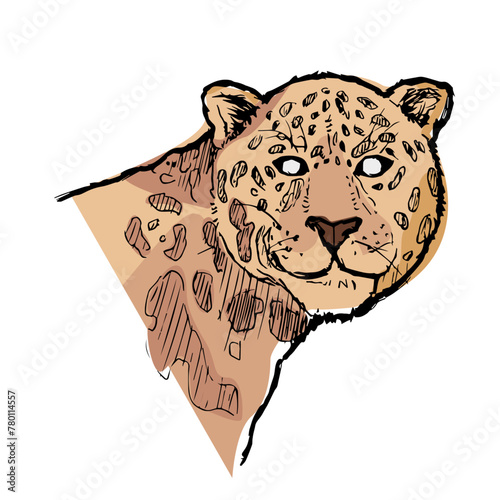 Onça-pintada, pantanal, animal silvestre, guepardo, tigre, jaguar