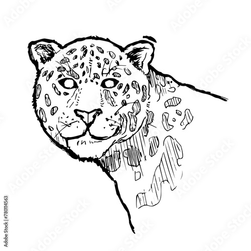 Onça-pintada, pantanal, animal silvestre, guepardo, tigre, jaguar