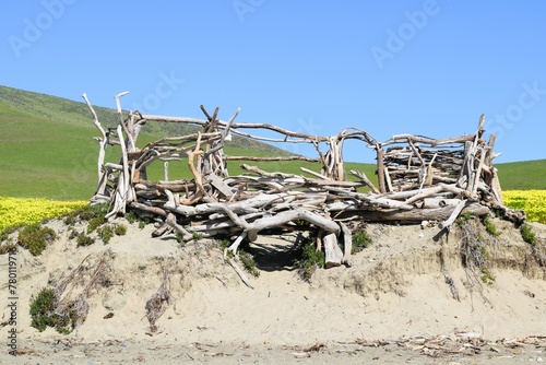 Driftwood Structure at Morro Bay