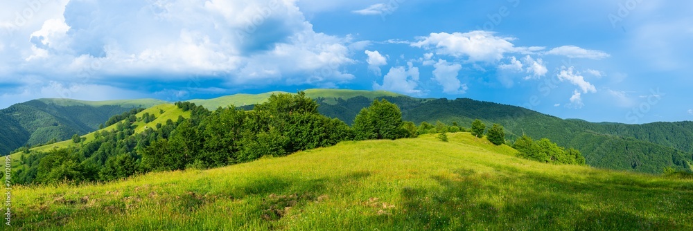 Carpathians mountains landscapes from green meadow on sunset, Apetska mountain, Ukraine