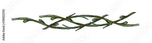  ornamental vine liana interwoven branches design element. watercolor twigs plaited together. Hand drawn watercolor illustration isolated on white background