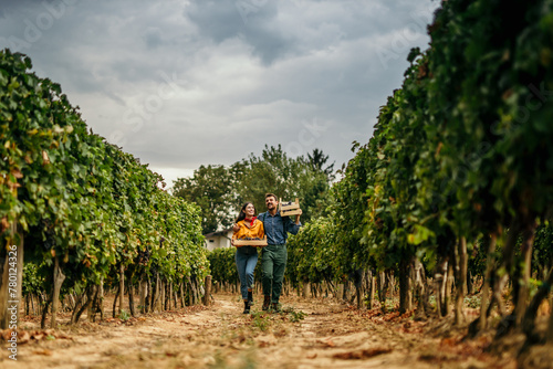 Woman and man passionately caring for grapevines in their scenic vineyard