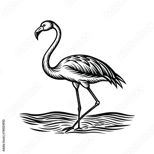 black flamingo isolated on white background