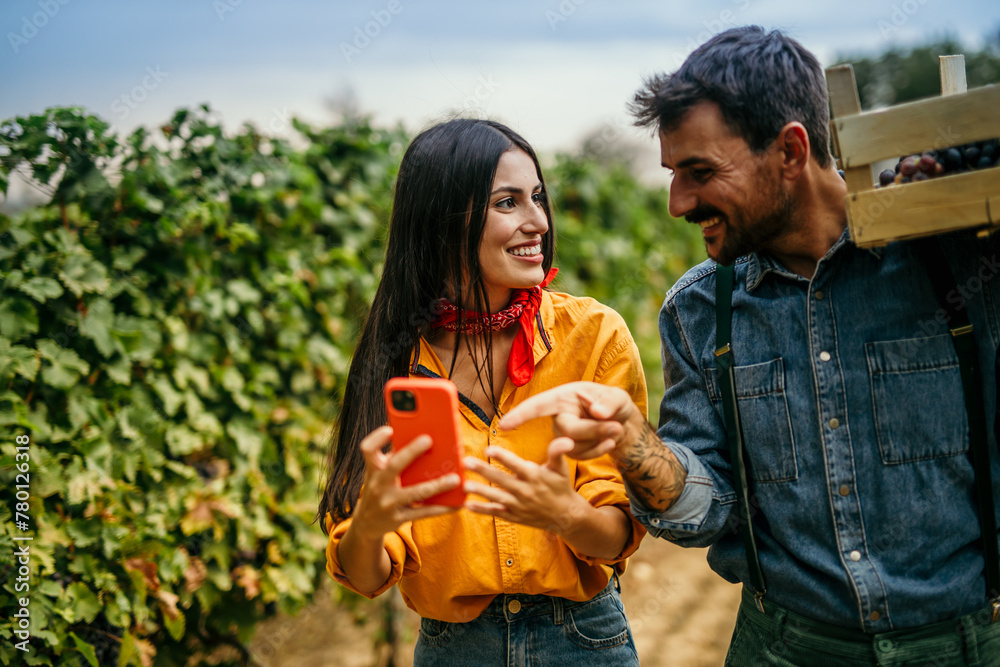 Naklejka premium Man and woman using a smartphone immersed in the timeless art of vineyard cultivation