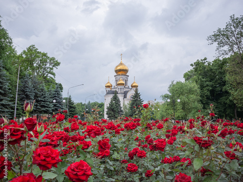 red rose flower bed in front of the orthodox church in pokrovsk city of donetsk oblast photo