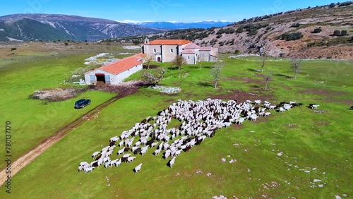 Flock of sheep in the surroundings of the Virgen de la Hoz Hermitage in the Valdivielso Valley. Las Merindades region. Burgos, Castilla y Leon, Spain, Europe photo