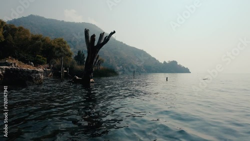 Smoky view of Santa Cruz shoreline on lake Atitlan with a tree in the water  photo