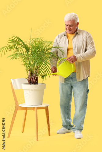Mature man watering palm tr...