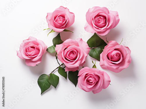 Pink roses and buds displayed against white backdrop