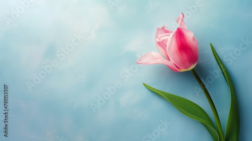A pastel pink tulip exudes serenity on a light blue background, ideal for calming wellness spaces or gentle floral stationery.