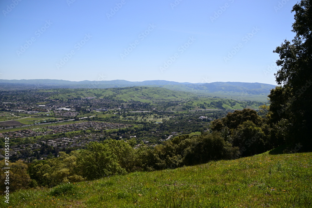 Obraz premium landscape with trees and mountains