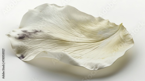 Elegant White Textured Leaf on White