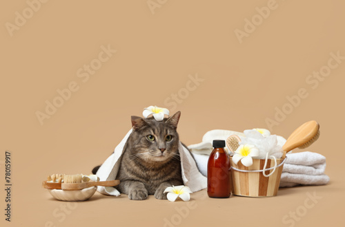 Cute grey cat with towel and flowers lying near spa supplies on brown background