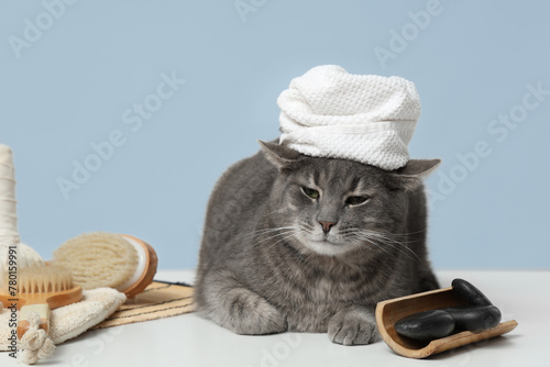 Cute cat with white towel, massage brushes and spa stones on table near grey wall