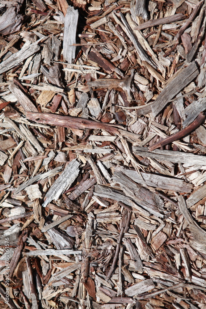 Tan bark background texture, brown, gray, natural earth tones Tan bark background texture, brown, gray, natural earth tones