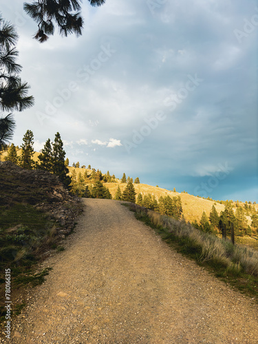 Dirt road in the mountains with late afternoon sunlight glowing on the hillside under an overcast sky
