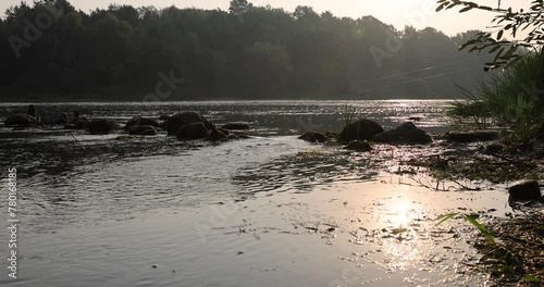 river,   water with waves in the river withtrees  on the river bank photo