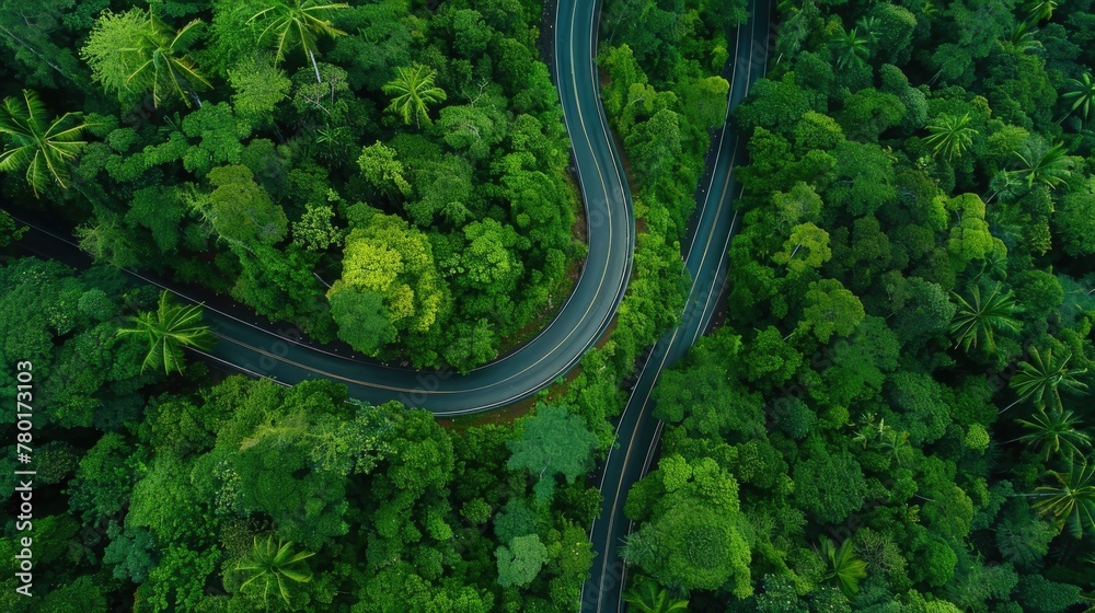 Aerial top view beautiful curve road on green forest in the rain season. Aerial top view beautiful curve road on green forest in the rain season.