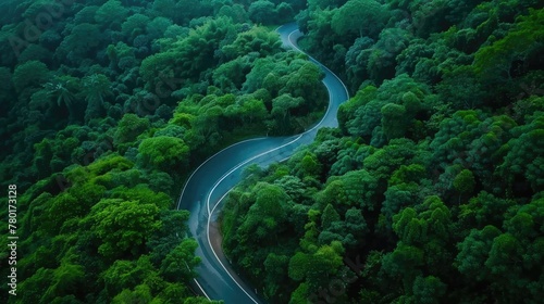 Aerial top view beautiful curve road on green forest in the rain season. © panu101