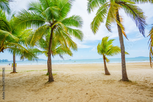 Coconut forest beach scenery at Coconut Dream Corridor in Sanya  Hainan  China