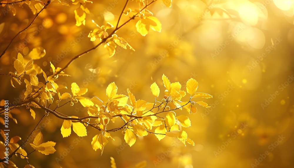 Obraz premium Minimalist photography background