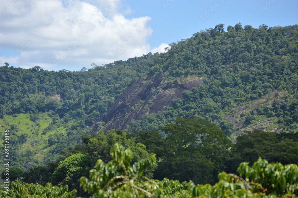 Mountain in the background of vegetation in the interior of Brazil