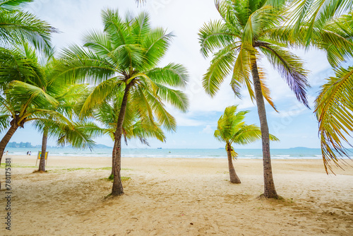 Coconut forest beach scenery at Coconut Dream Corridor in Sanya  Hainan  China