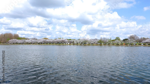 Pond and natural scenery of Mizumoto Park in Tokyo