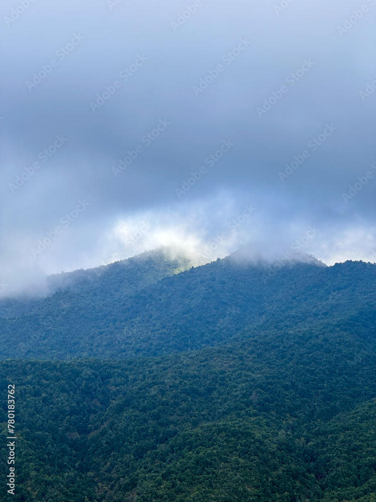 beautiful mountain with cloud forest