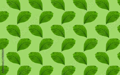 Leaf Seamless Background. Backdrop of symmetrically arranged leaves. Natural background in shades of green.