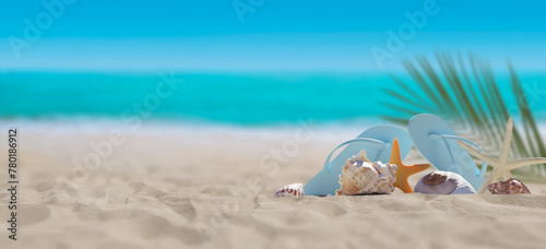 Tropical beach with shells on clean sand. 3d rendering