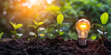 Light bulb on nature background with green grass and sunlight Concept of eco business growth profit development and success ecology and green technology concept