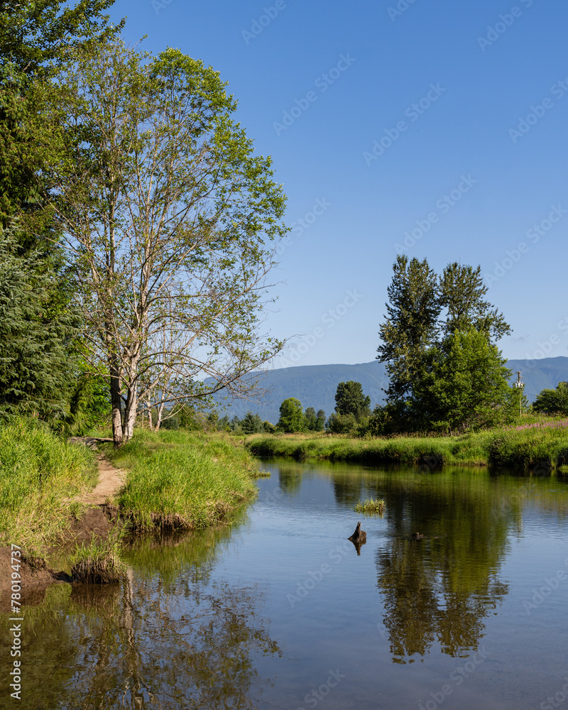 Summer nature view small pond green landscape with cloudy sky Summer nature view small pond green landscape with cloudy sky