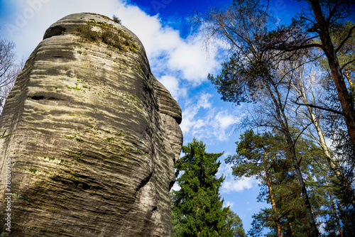 Large Rock Amidst Forest in Adrpach Teplice Rock Formation photo