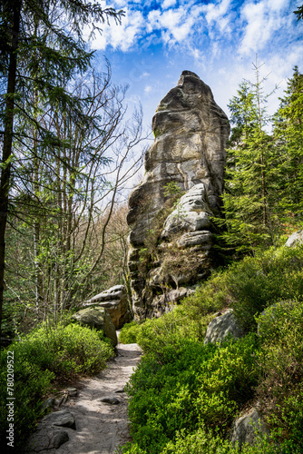 Path Leading to Large Rock in Adrpach Teplice Forest