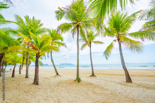 Coconut forest beach scenery at Coconut Dream Corridor in Sanya  Hainan  China